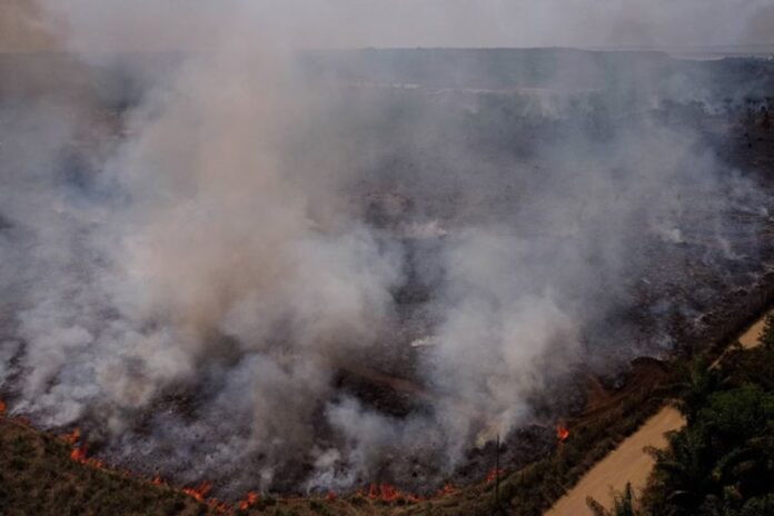 alerta-de-risco-elevado-de-incendios-e-estendido-para-o-fim-de-semana